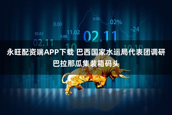 永旺配资端APP下载 巴西国家水运局代表团调研巴拉那瓜集装箱码头