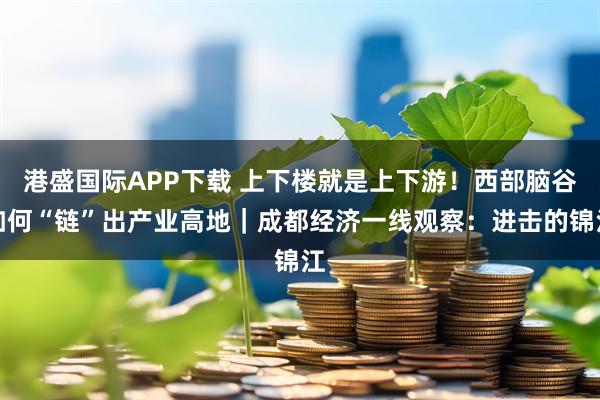 港盛国际APP下载 上下楼就是上下游！西部脑谷如何“链”出产业高地｜成都经济一线观察：进击的锦江
