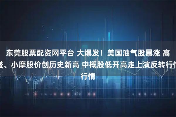 东莞股票配资网平台 大爆发！美国油气股暴涨 高盛、小摩股价创历史新高 中概股低开高走上演反转行情