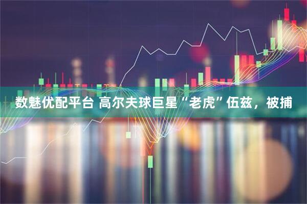 数魅优配平台 高尔夫球巨星“老虎”伍兹，被捕